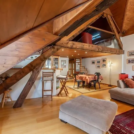 Bacchus Furnished Flat * Annecy