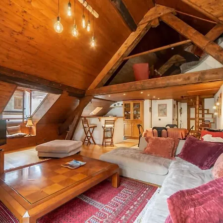 Bacchus Furnished Flat Apartmán Annecy